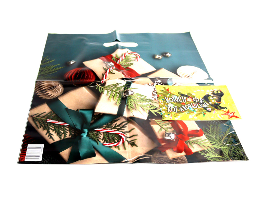 Новогодняя мечта принцессы Эвы + Один день в гостях у волшебницы (Комплект из 2-х книг)