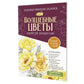 Папка с акварельной бумагой «Волшебные цветы. Нарисуй акварелью» + Брошюра (бордовый набор)