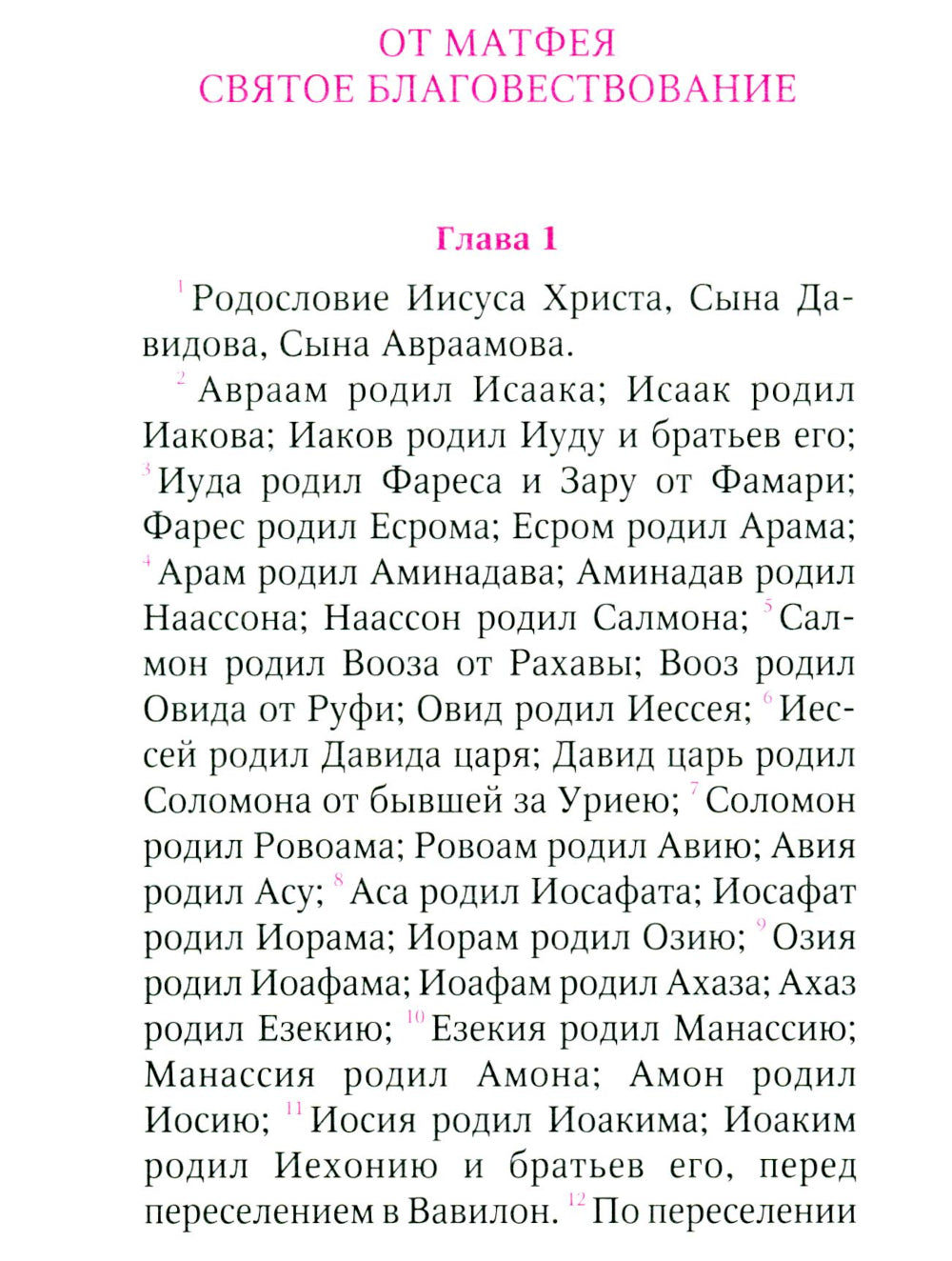 Святое Евангелие (с клапаном на магните, кожа, золот.тиснен.) (коричневый)
