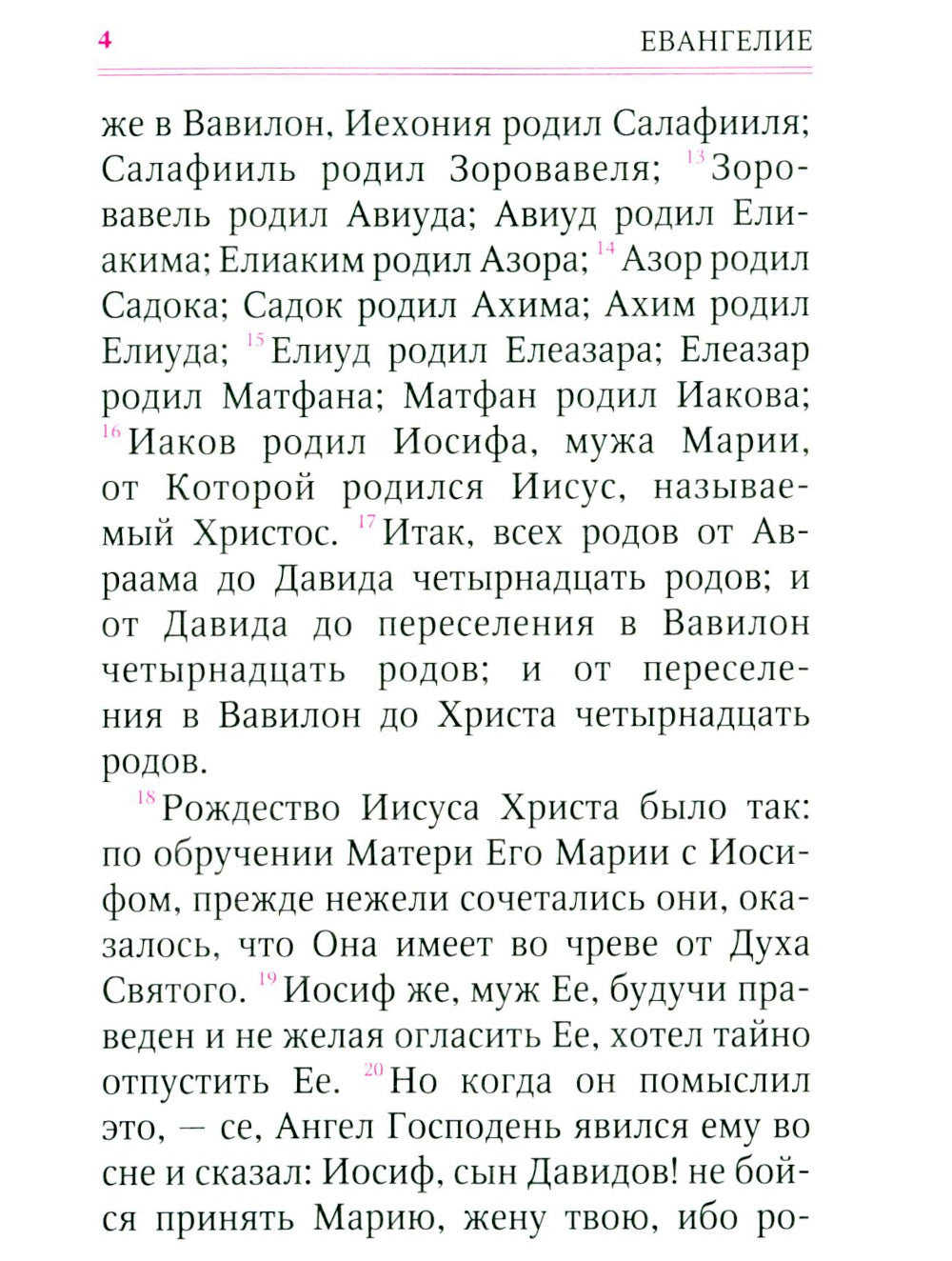 Святое Евангелие (с клапаном на магните, кожа, золот.тиснен.) (коричневый)