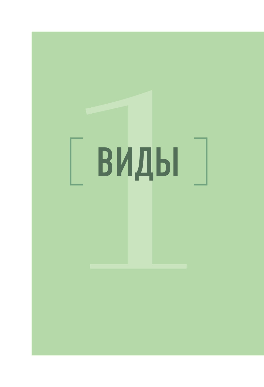 Роскошные хвойные. Виды, посадка, уход