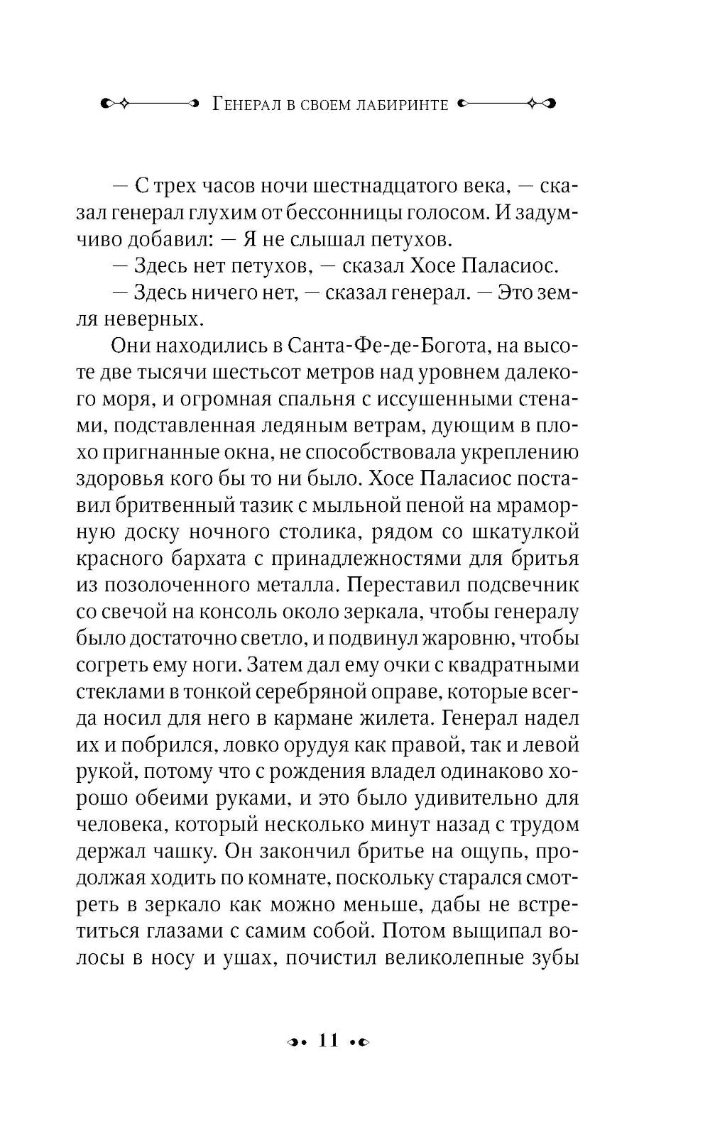 Генерал в своей лабиринте: роман