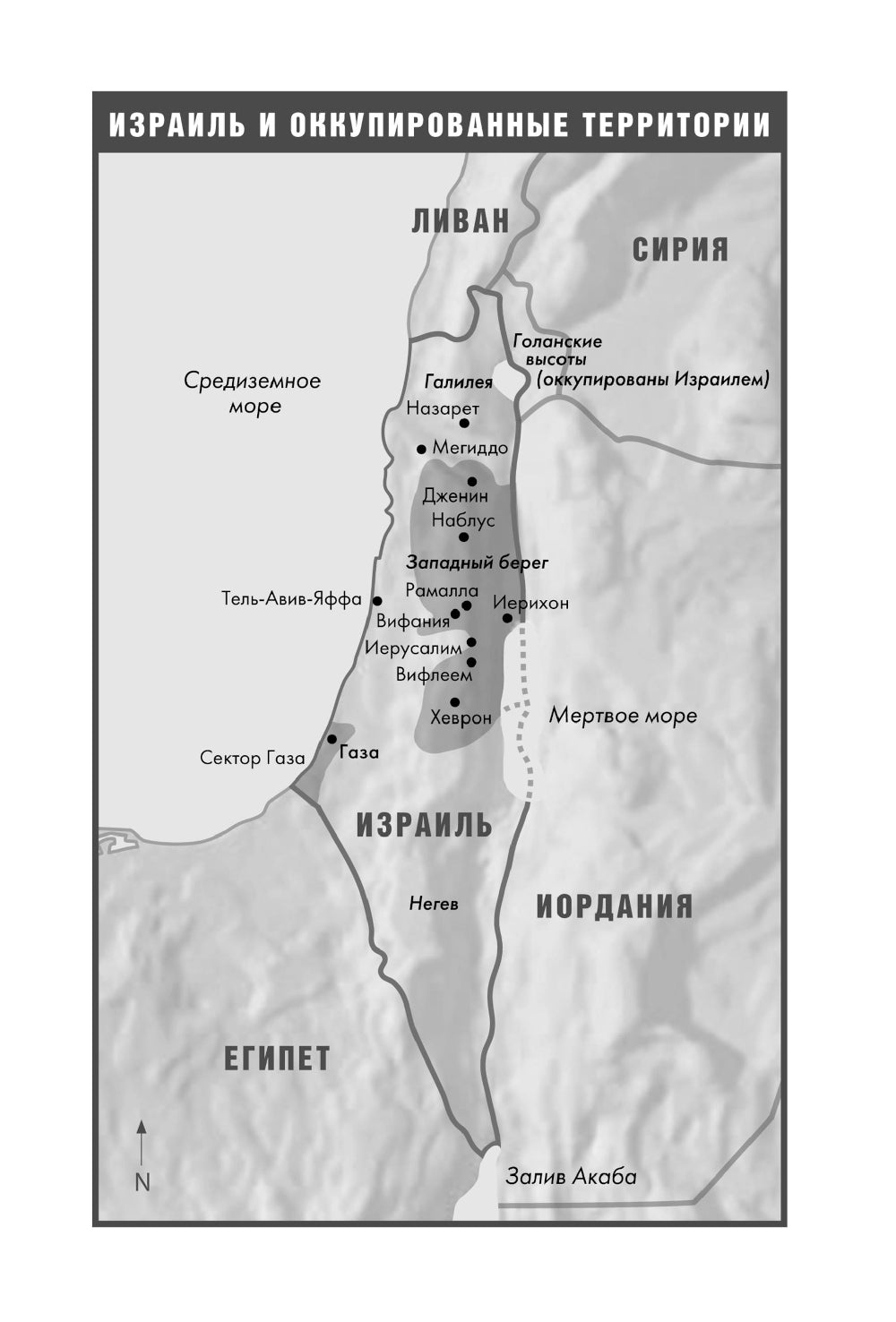 Сын ХАМАСа. (обл.)
