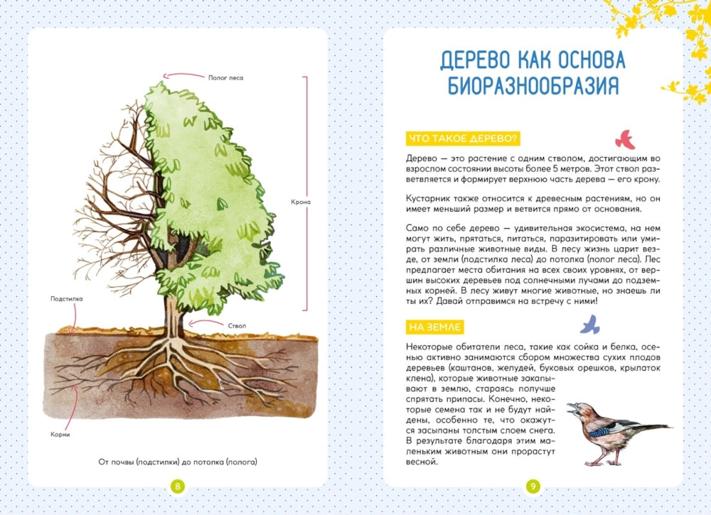 Лесные животные: Звери. Птицы. Насекомые