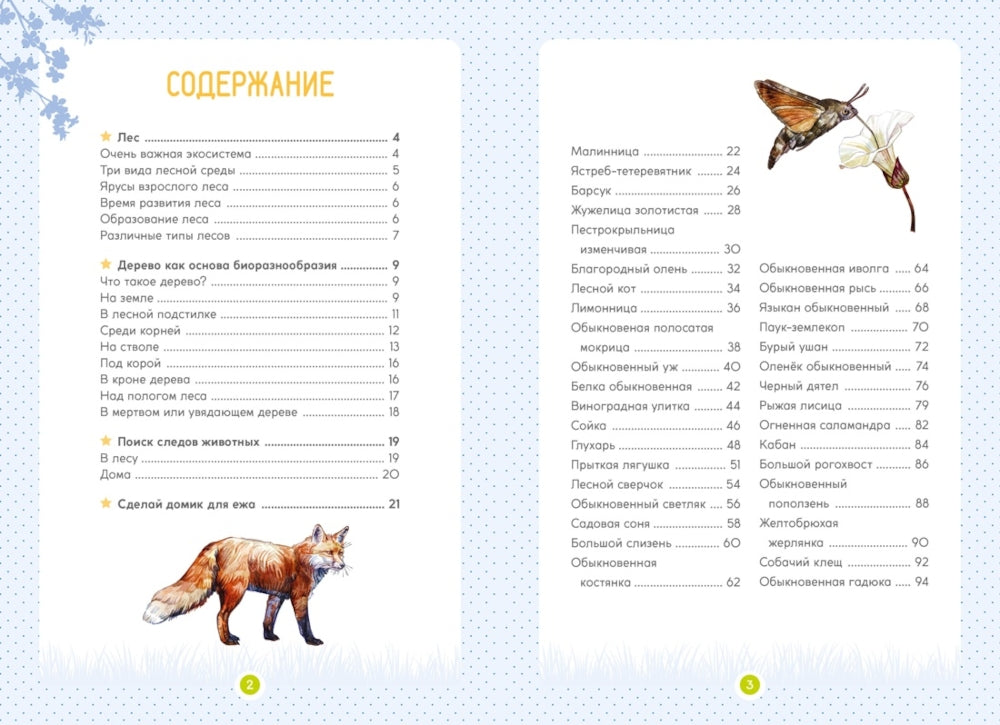 Лесные животные: Звери. Птицы. Насекомые