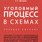 Уголовный процесс в схемах: Учебное пособие