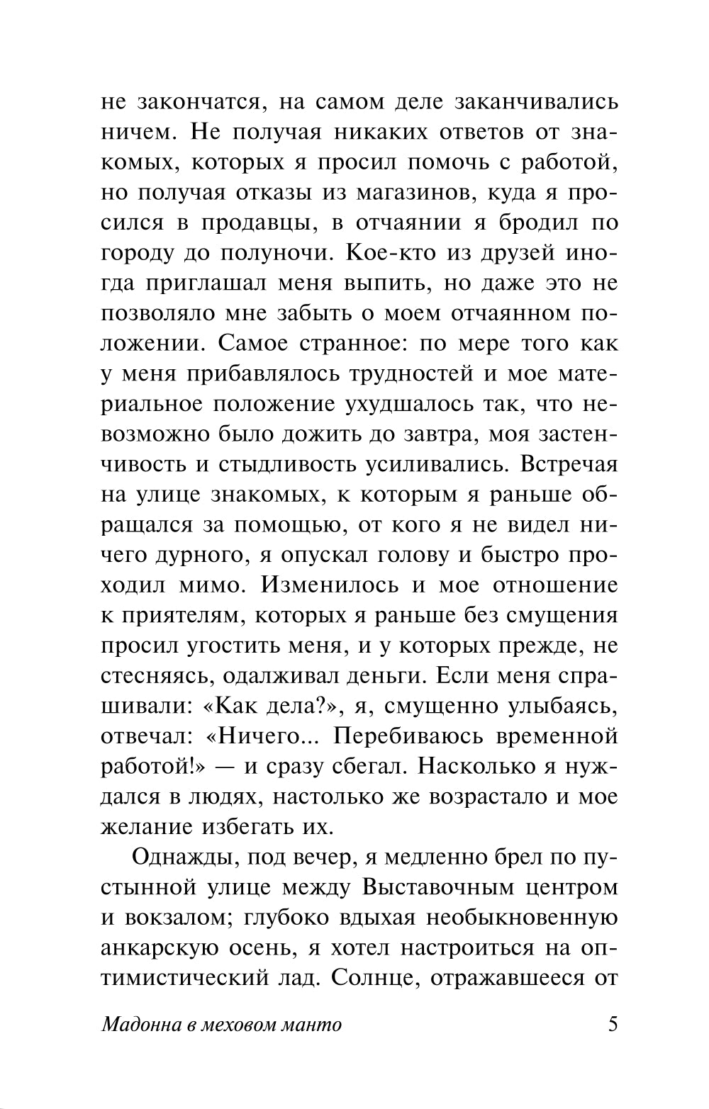 Мадонна в меховом манто: роман