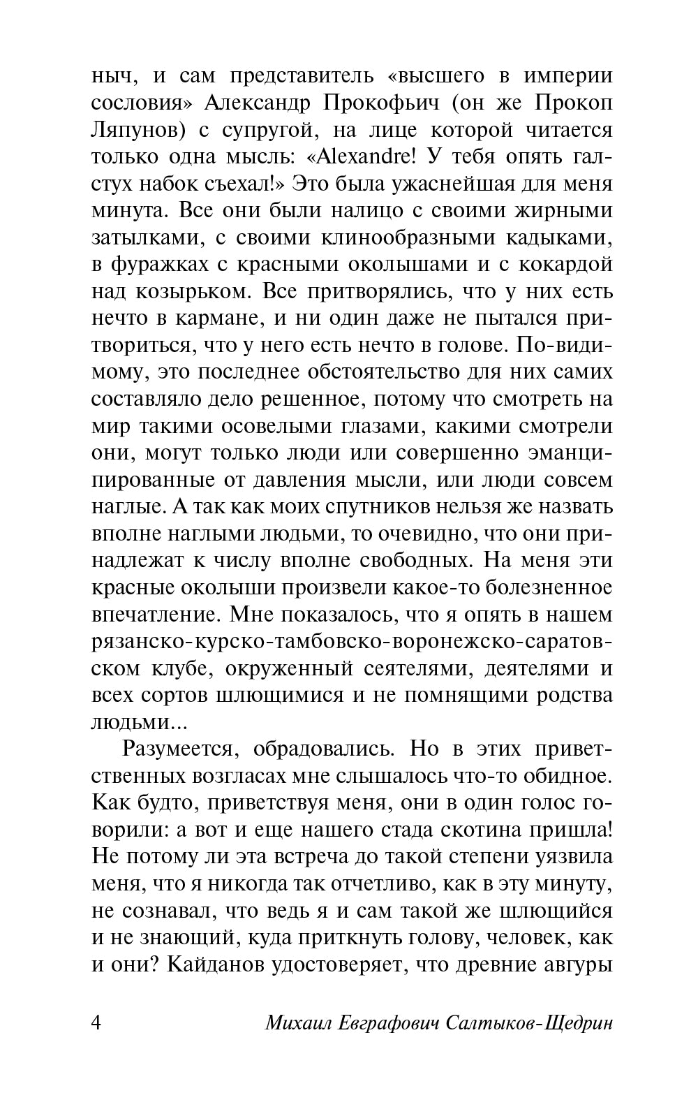 Дневник провинции в Петербурге: роман