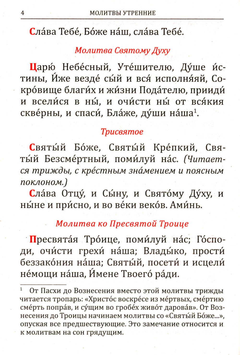 Молитвослов: крупным шрифтом (Божья матерь с младенцем)