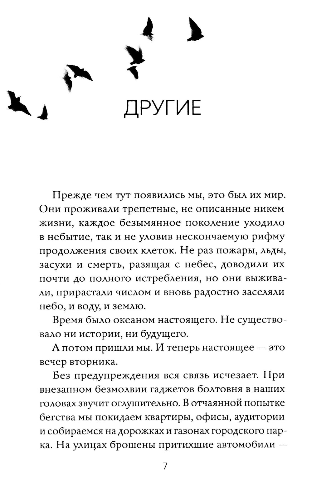 Книга дождя