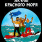 Акулы Красного моря