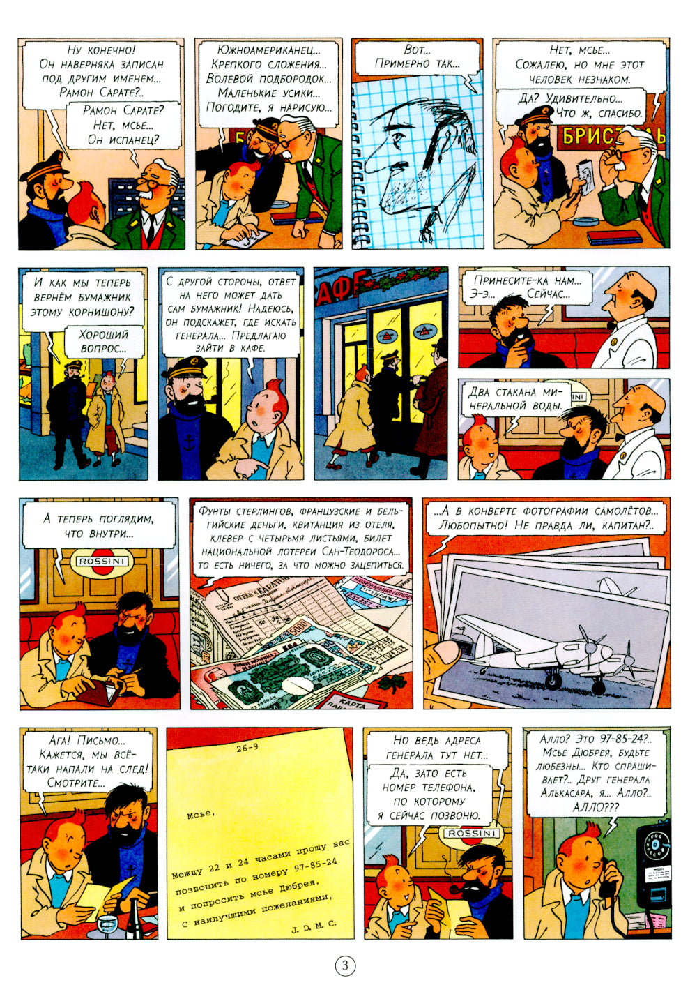 Акулы Красного моря