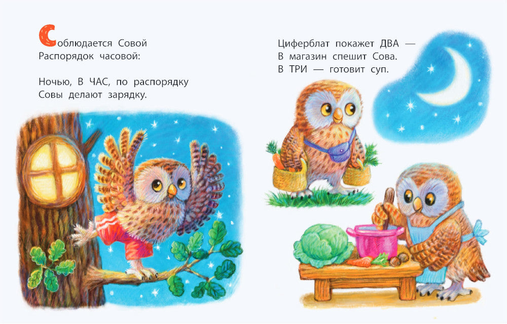 Когда сова ложится спать?