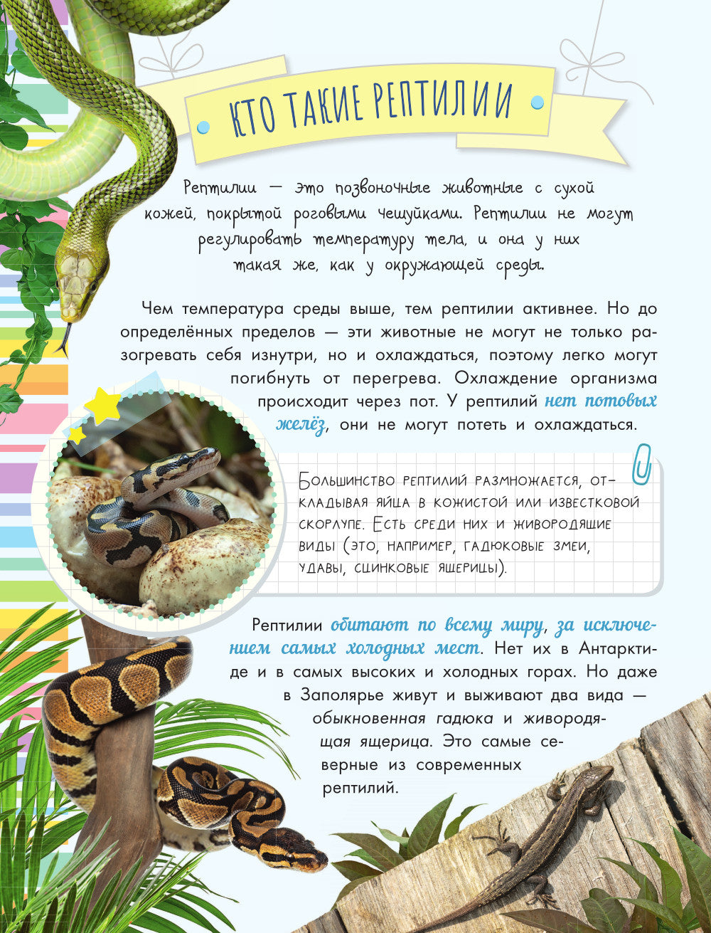 Змеи, ящерицы, черепахи: энциклопедия