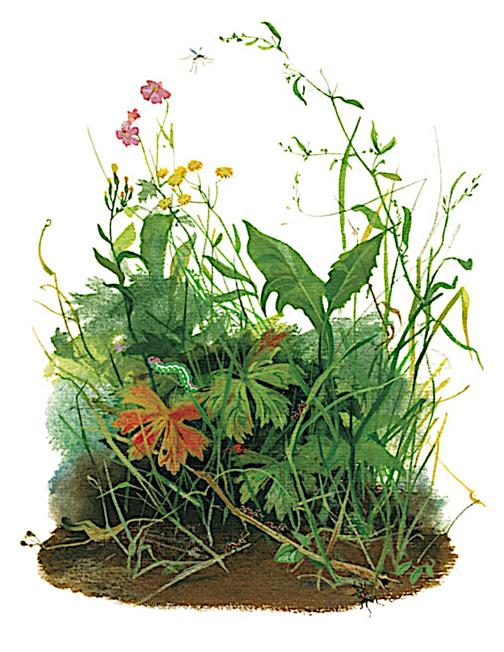 Друзья моего детства