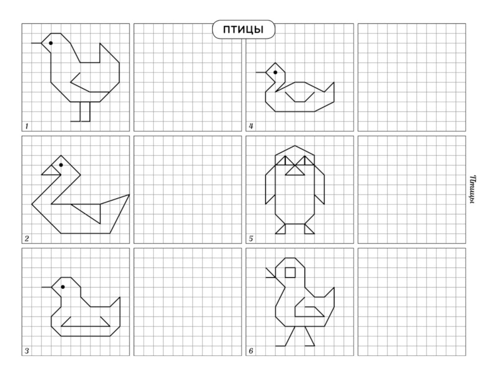Альбом для профилактики дисграфии у дошкольников. Развиваем графомоторные навыки