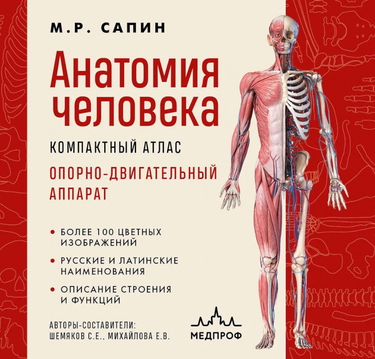 Анатомия человека. Опорно-двигательный аппарат: компактный атлас