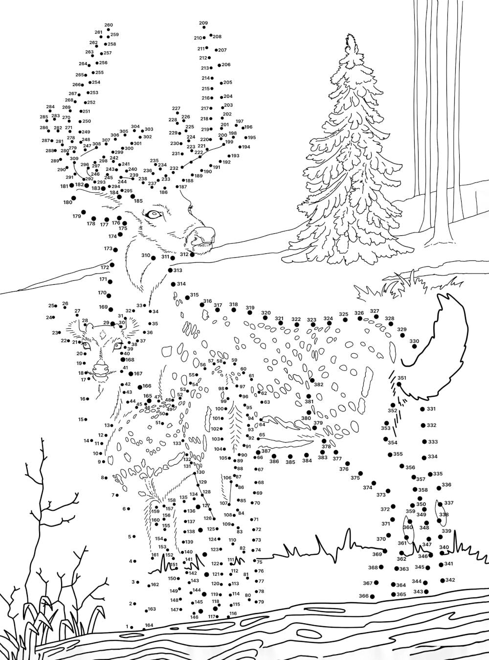 Животные. Рисуем по точкам