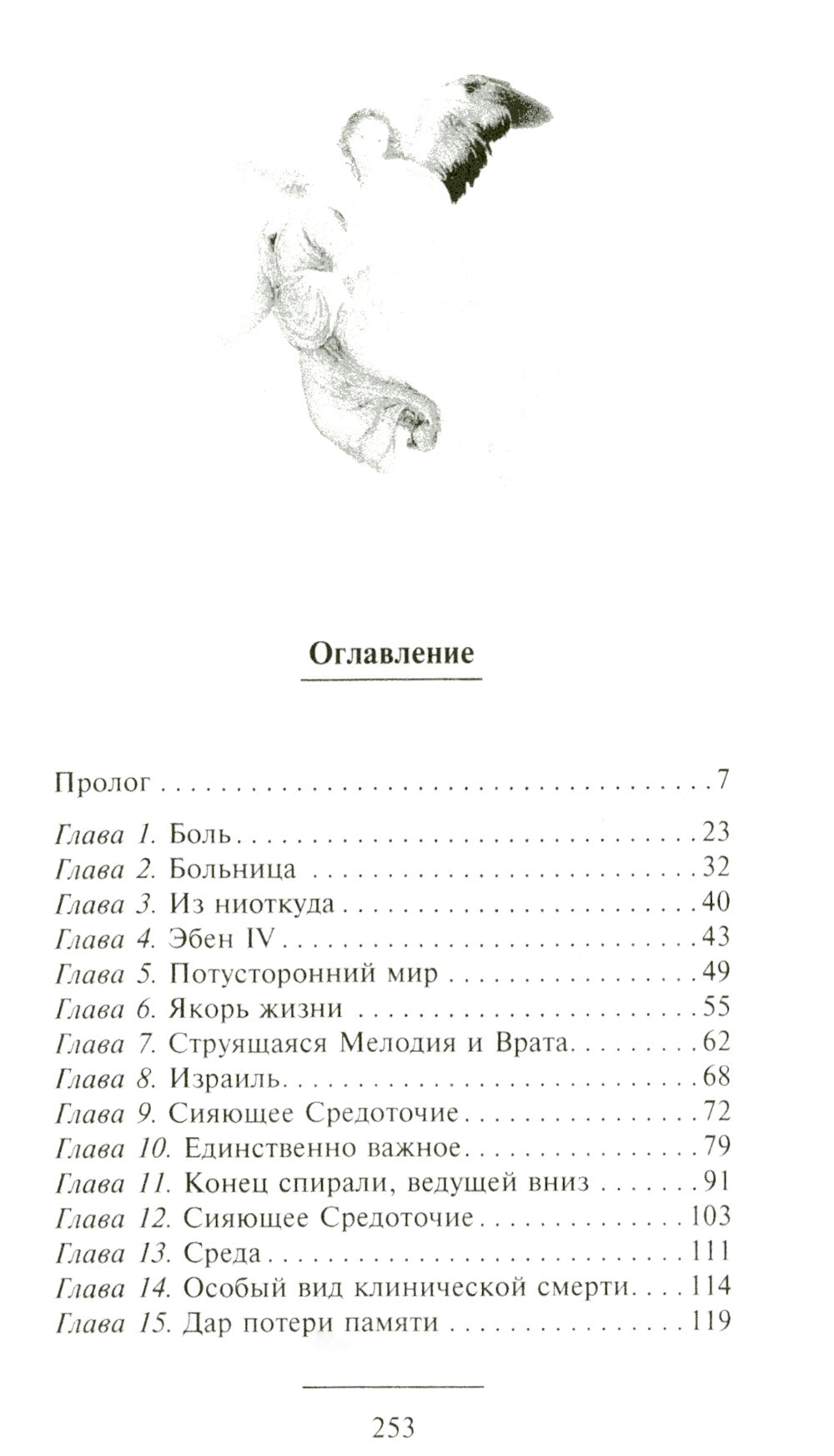 Доказательство Рая. Реальный опыт нейрохирурга