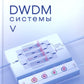 Systèmes DWDM. 5-ème jour