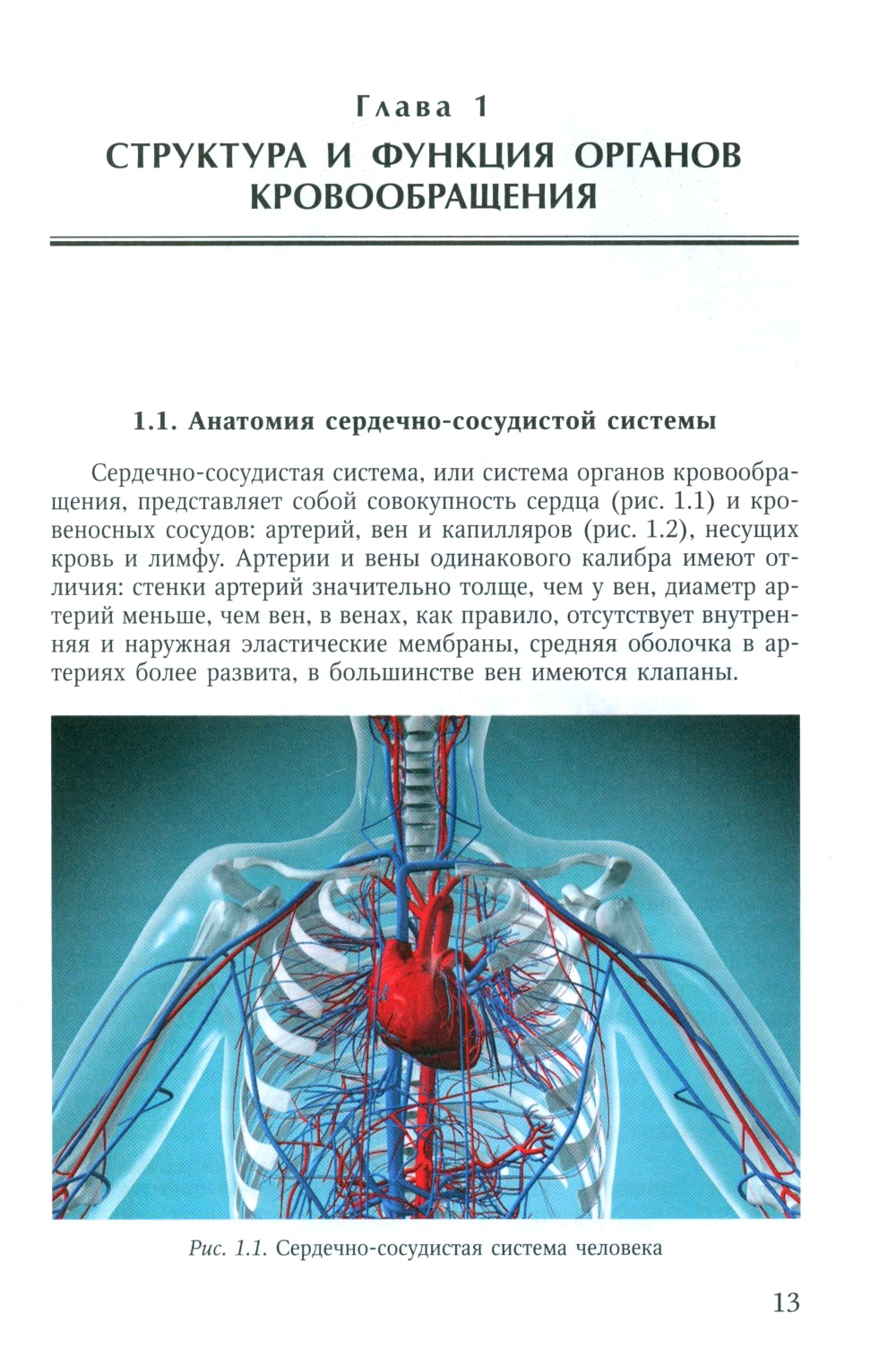Пороки сердца: порок аортального клапана