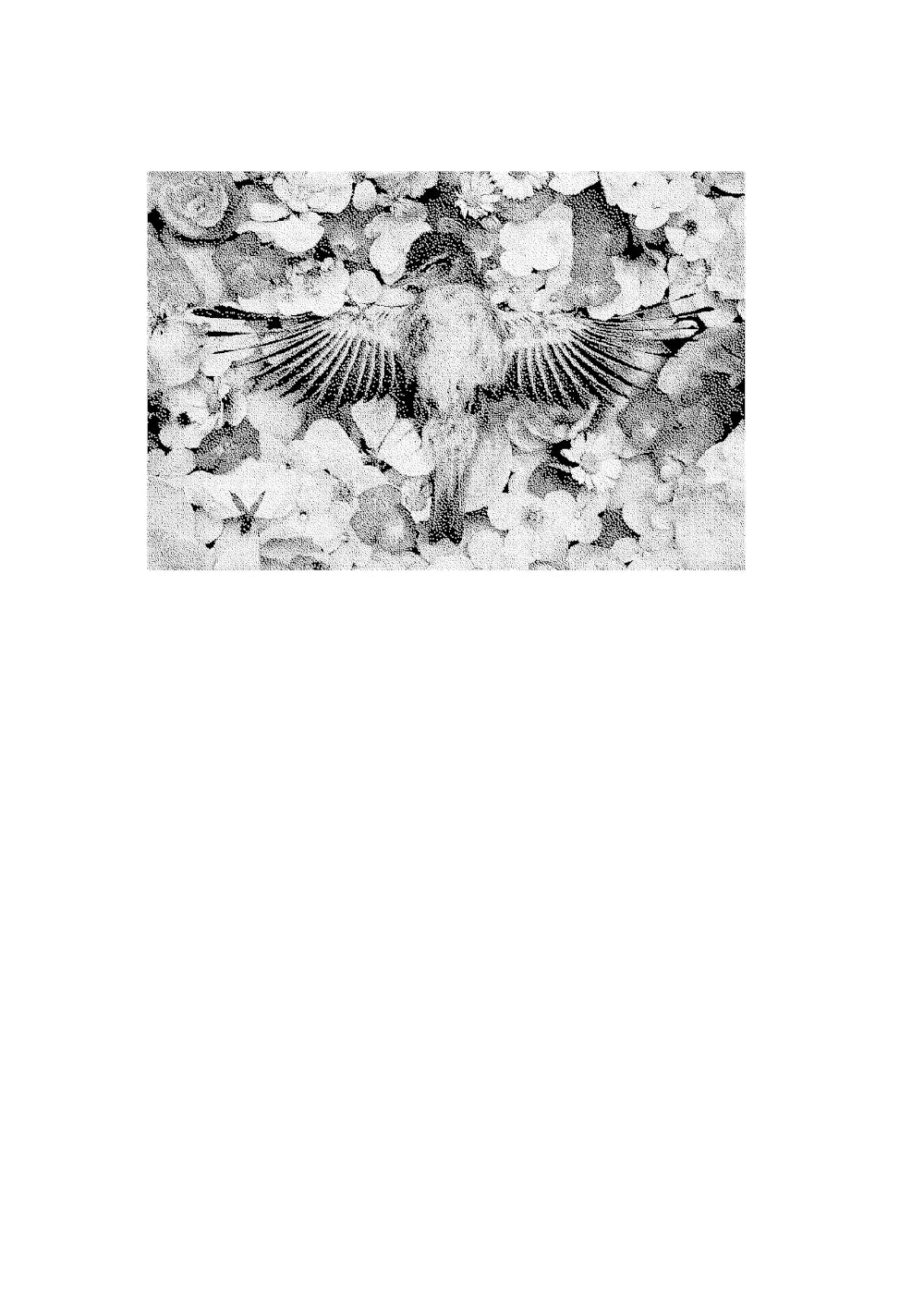 О чем молчит фотография: как современные постмортемы помогают жить