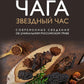 Чага: звездный час. Современные сведения об уникальном российском грибе