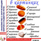 Хлеб в картинках. Наглядное пособие для воспитателей, логопедов, воспитателей и родителей