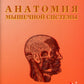 Анатомия мышечной системы (мышцы, фасции и топография): Учебное пособие. 16-е изд., перераб. и доп