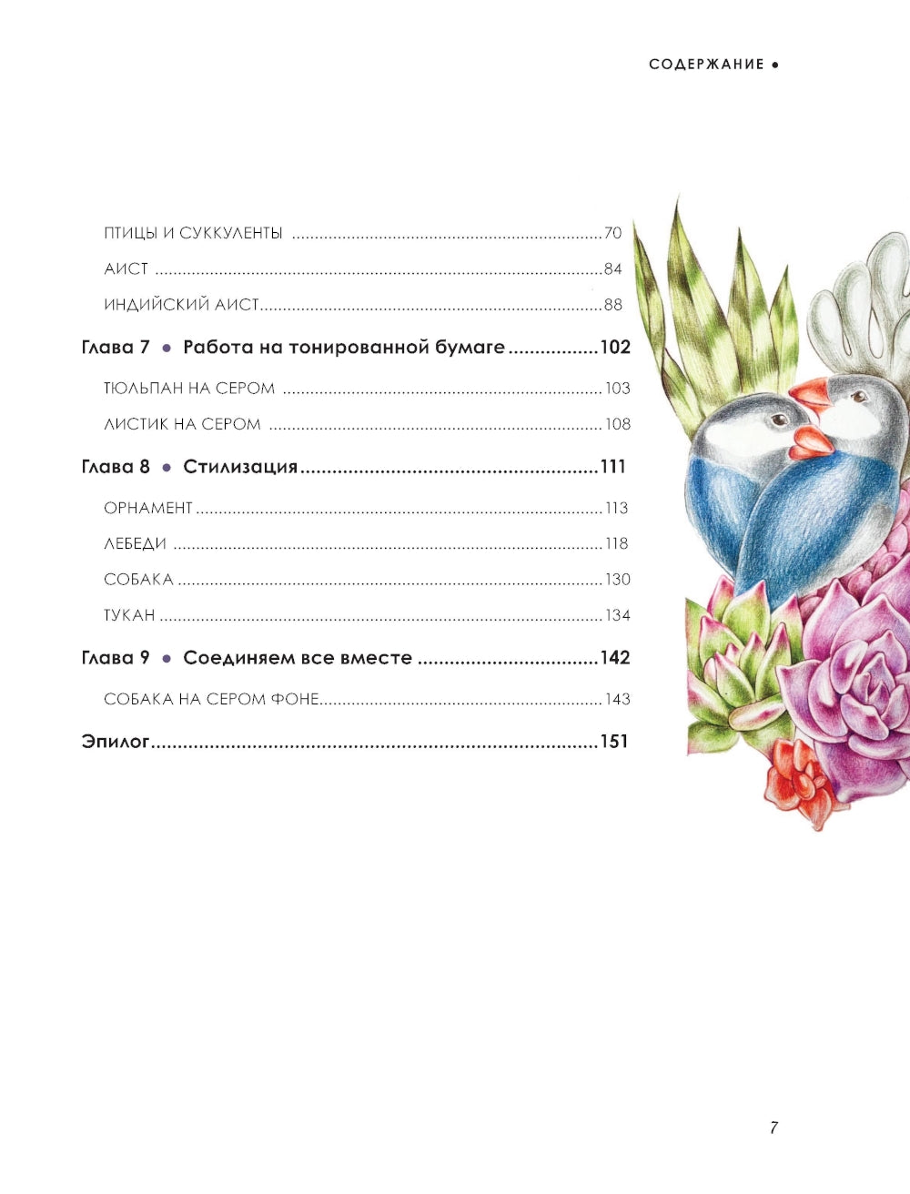 Большая книга цветных карандашей: полное руководство по работе с нуля