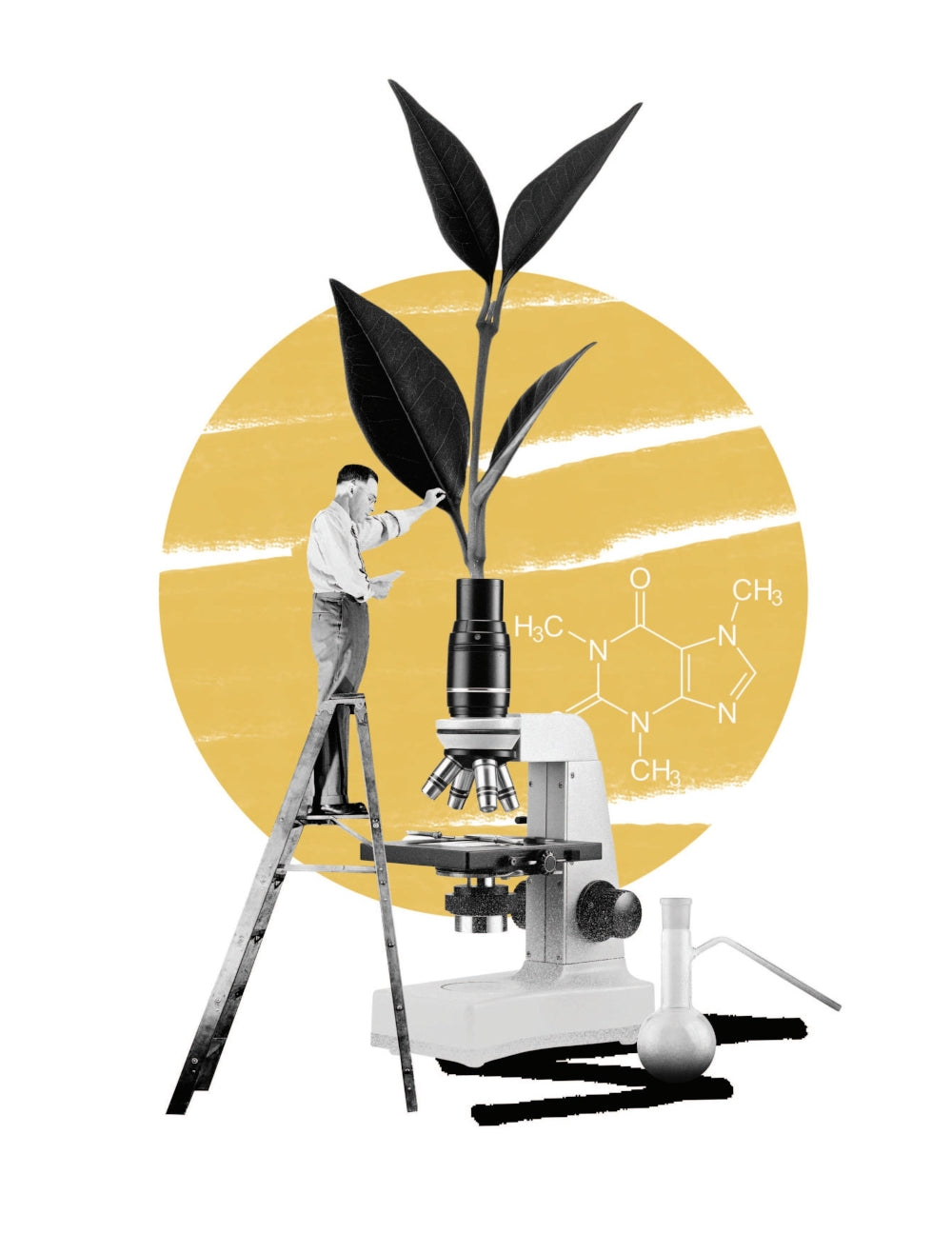 Чай. От листа до чашки: все, что нужно знать о сортах, заваривании и дегустации тем, для чая не просто варить.