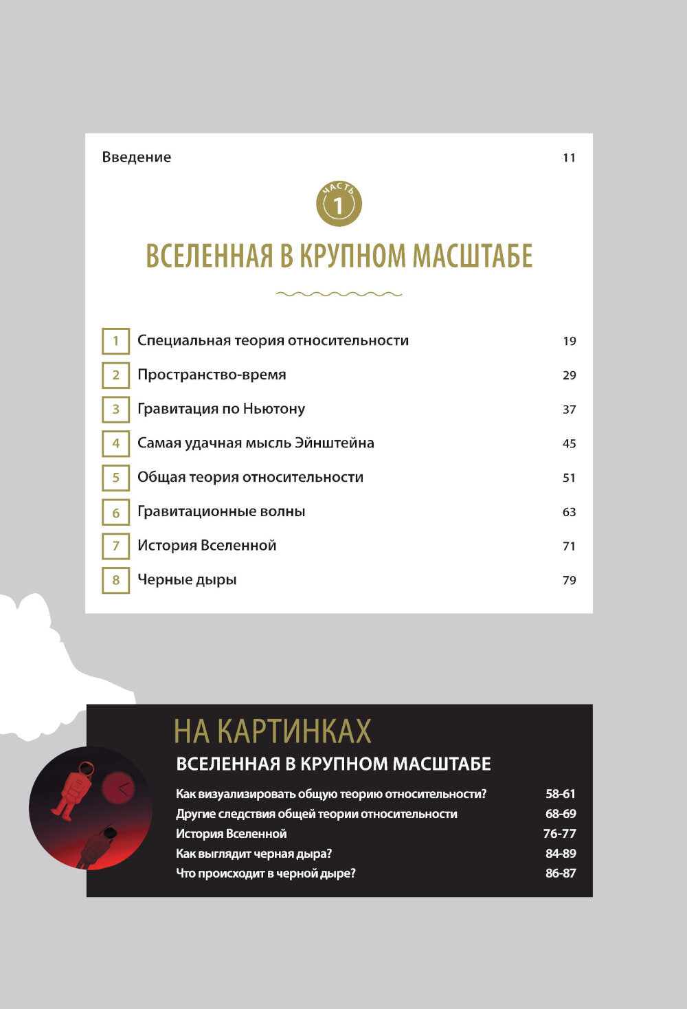Великие законы Вселенной: от гравитации к квантовым частицам. Визуальный гид