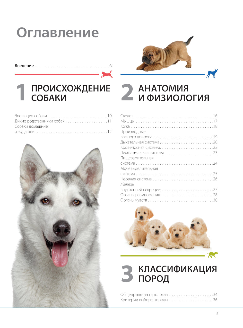 Собаки: подарочная иллюстрированная энциклопедия