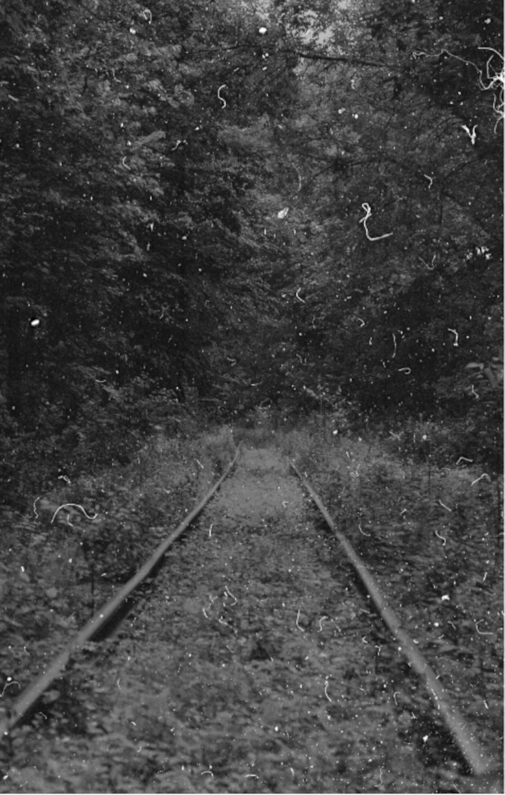 Повреждения от прекрасного: повесть, рассказы