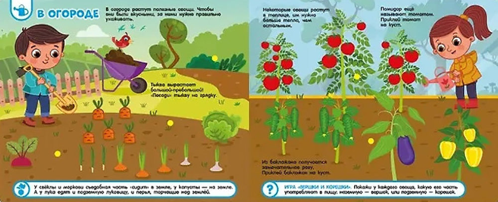 Овощи и фрукты: книга с липучками