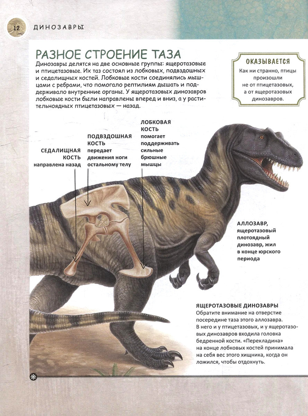 Динозавры. Полная энциклопедия