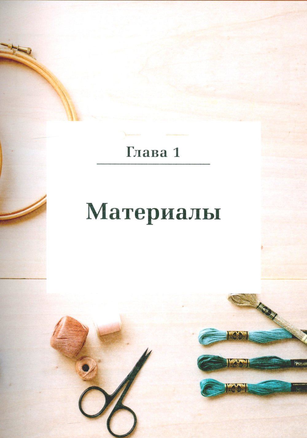 Современная вышивка. Полный справочник на французском языке