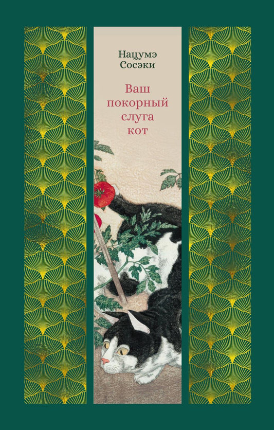 Votre bébé est le suivant : romain