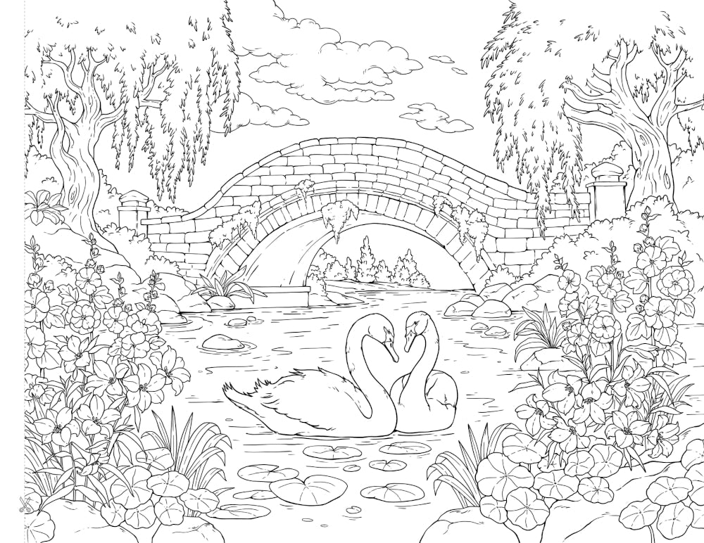 Волшебный сад. Album pour la gravure