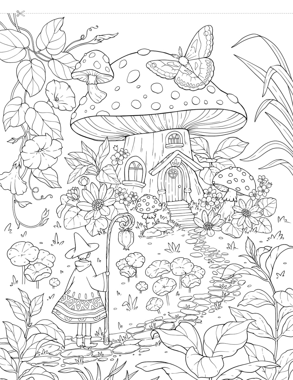 Волшебный сад. Album pour la gravure