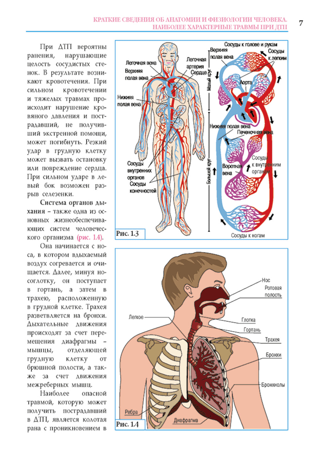 Первая помощь при ДТП 2025