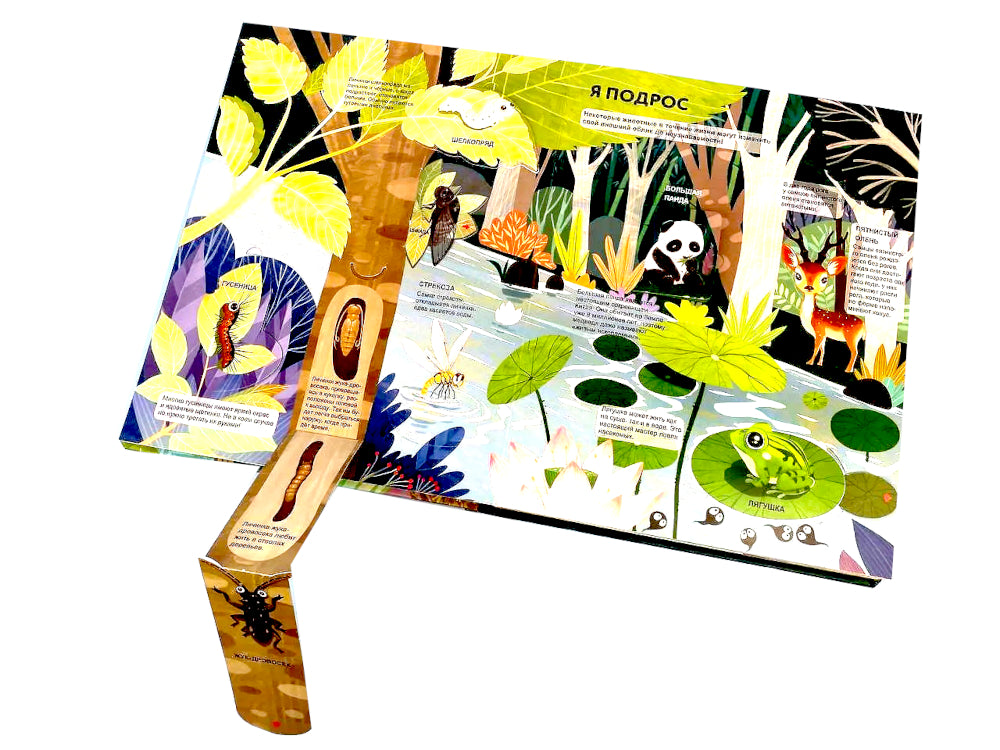 Удивительные животные