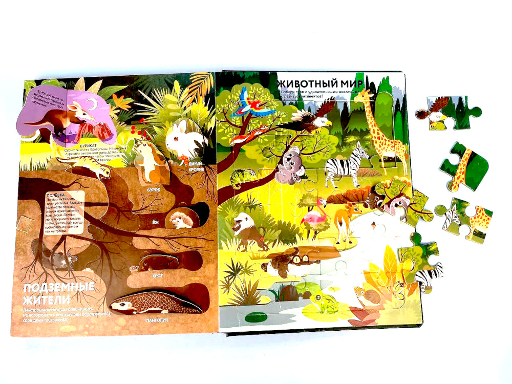 Удивительные животные