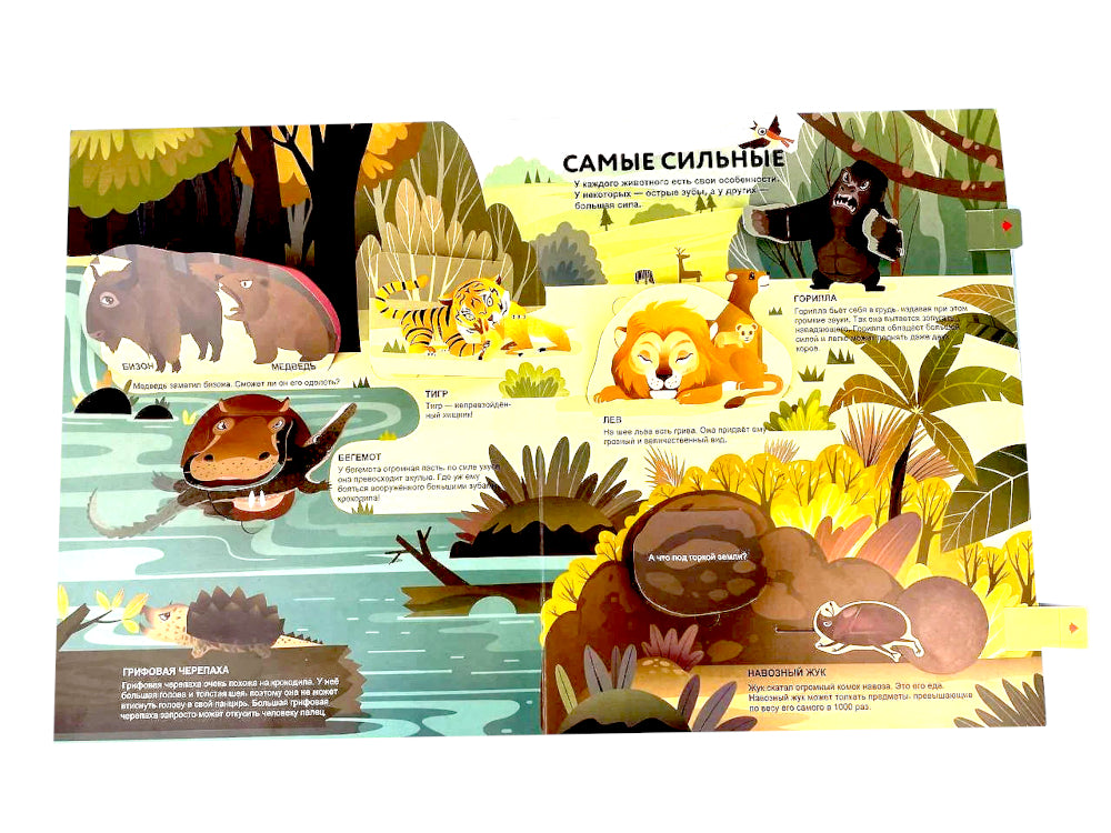 Удивительные животные