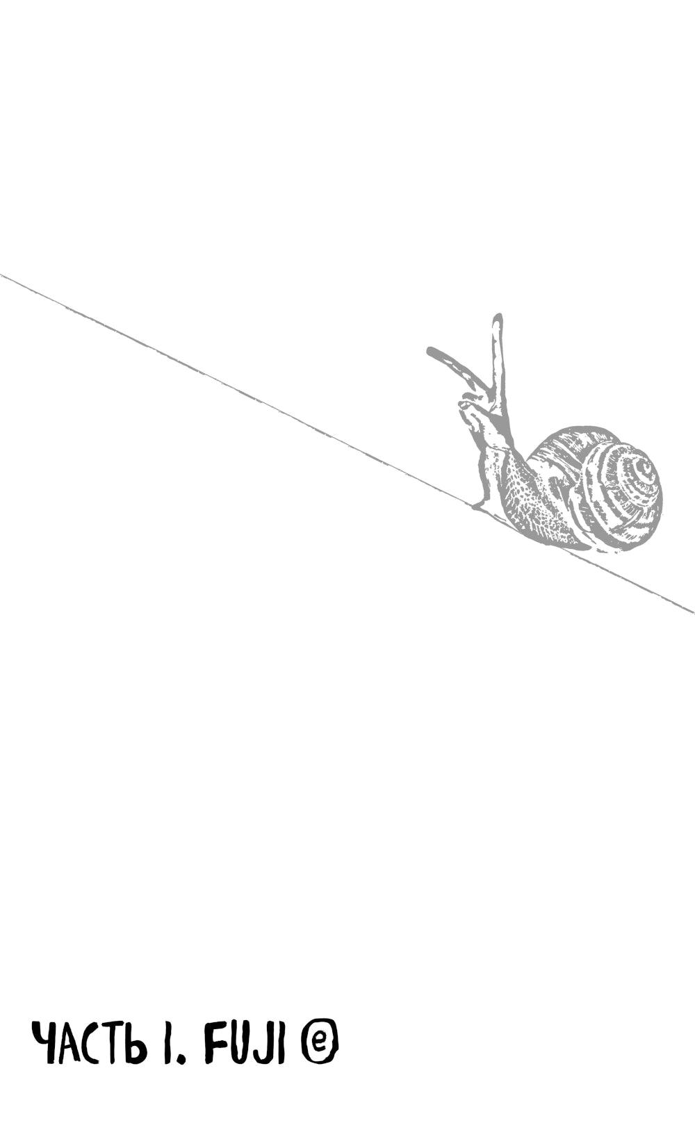 Тайные виды на горе Фудзи