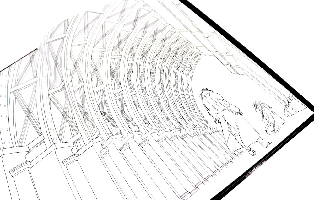 Régulateur. Т. 1-2 (complexe de 2-х книг)