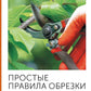 Простые правила обрезки. Омолаживаем сад для обильного цветения и плодоношения