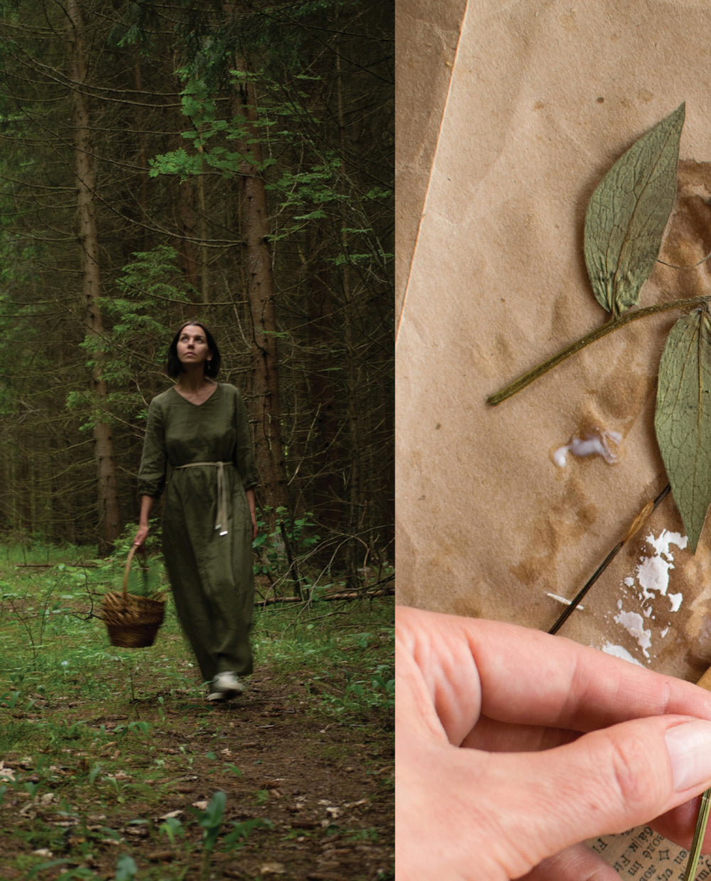 Счастье творчества. Книга о романтике загородной жизни, рукодельных вечеров и единении с природой