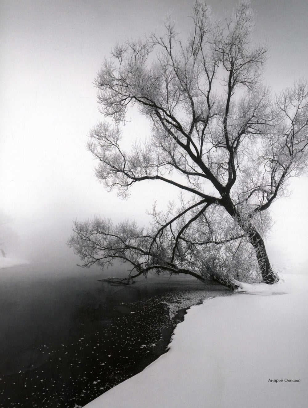 Неповторимая Россия. Природное наследие страны наша в фотографиях пассажира Nature Photo Team