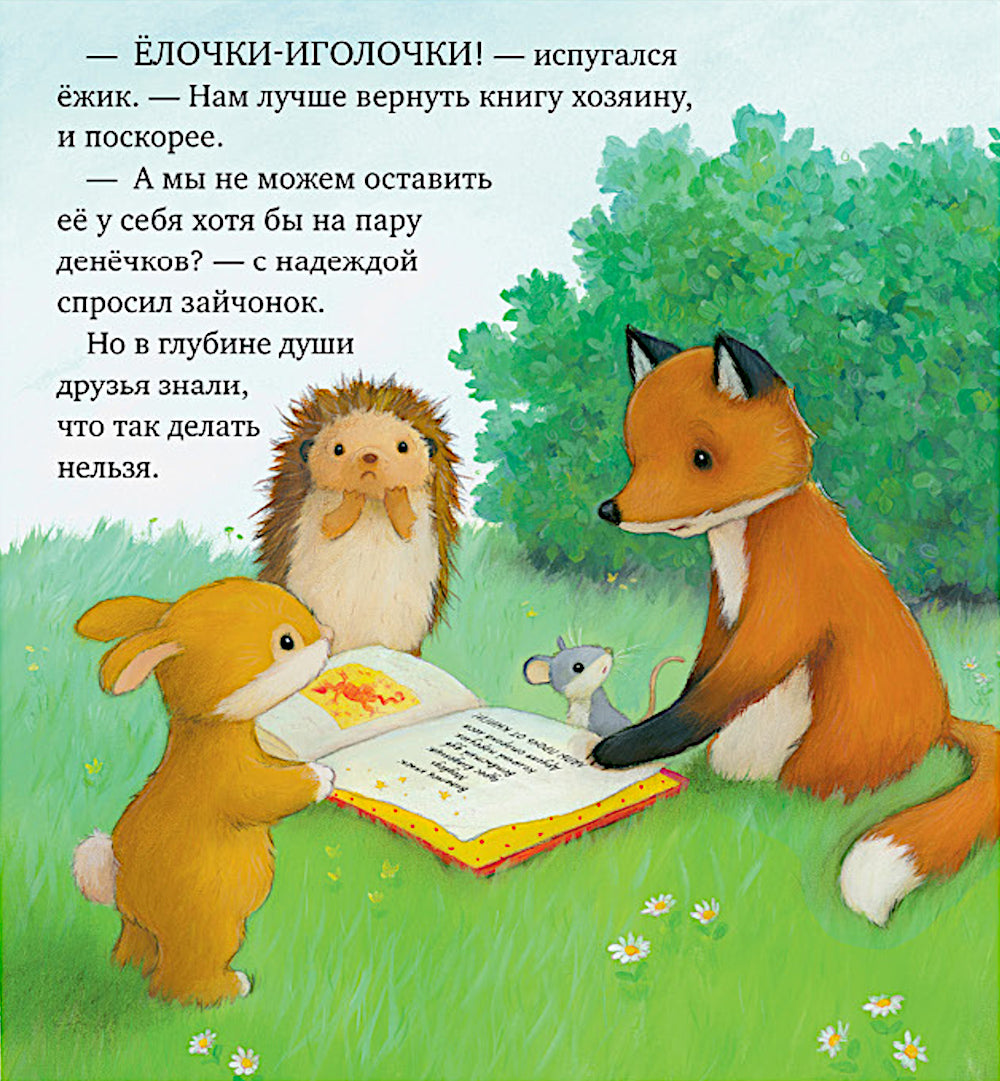 Дом, где живут книги